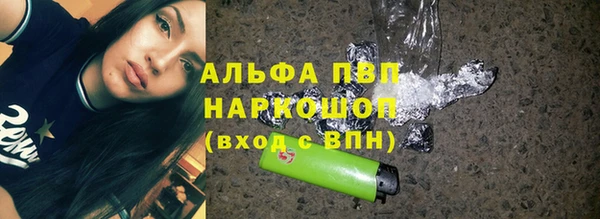 тгк Новозыбков