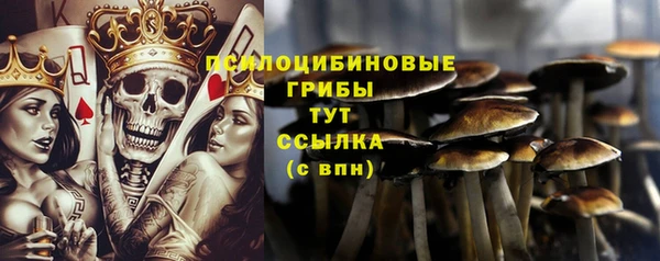 прущие грибы Гусев