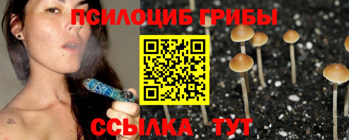 Свободный  Псилоцибиновые грибы Magic Shrooms  Галлюциногенные грибы Psilocybe  Вход с VPN 