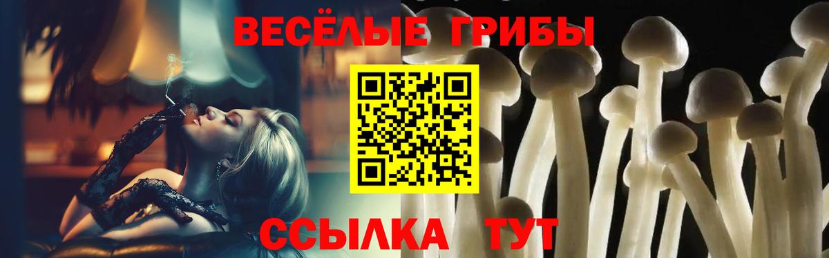 Бошки Шишки  Свободный  Мефедрон   ГАШИШ  Вход с VPN  A-PVP СК  