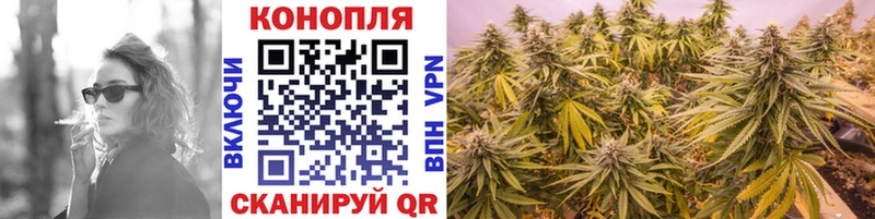 Бошки марихуана конопля  МЕГА зеркало  Свободный 